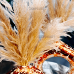 2024/09/1000331178.png